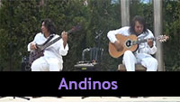 Andinos